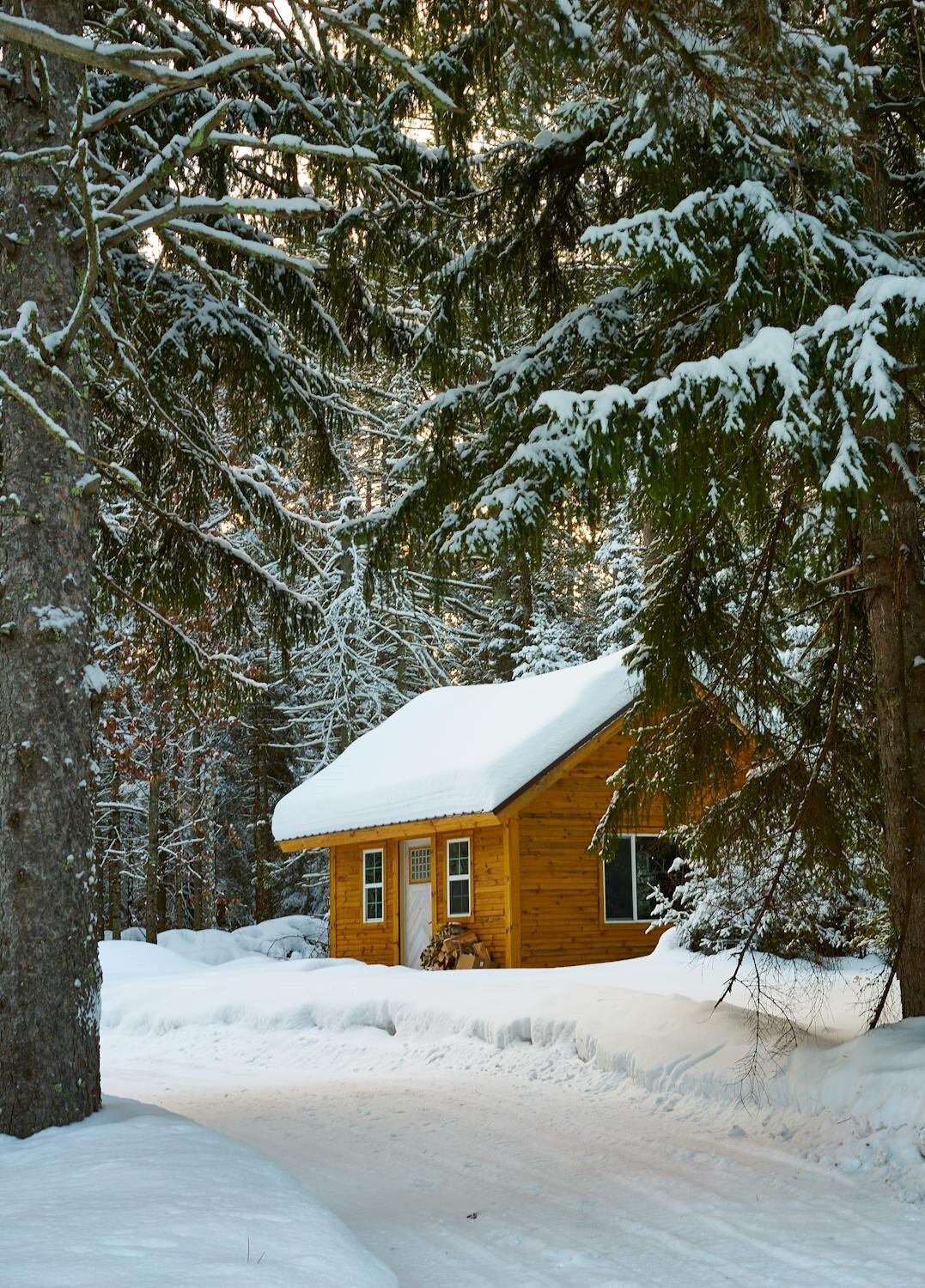 Lorem ipsum dolor sit amet,