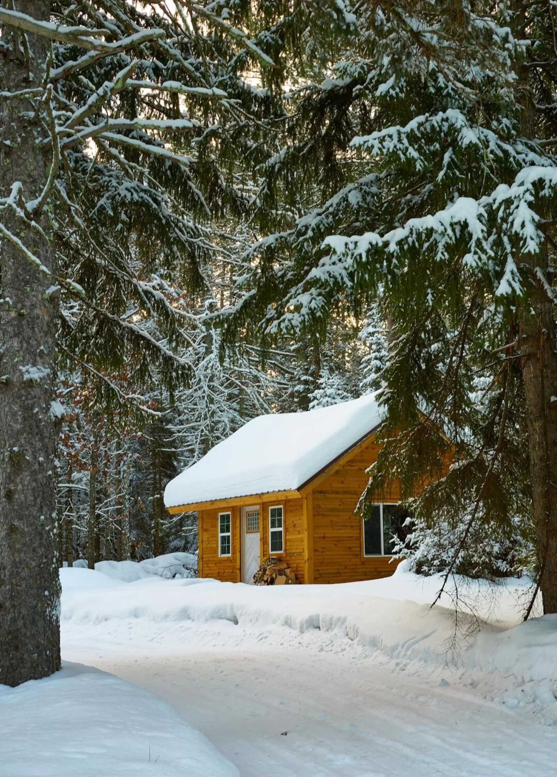 Lorem ipsum dolor sit amet,